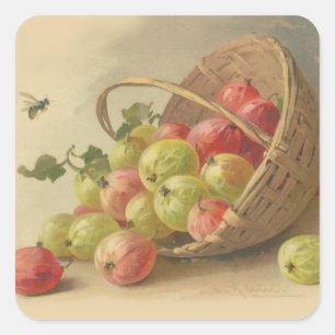 Vintage gooseberries square sticker
