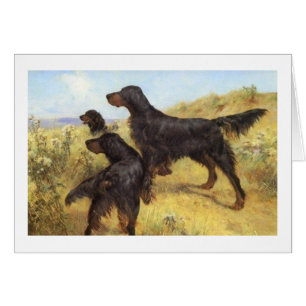 Vintage - Gordon Setter Dogs in the Field,