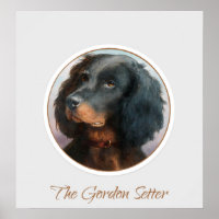 Vintage Gordon Setter