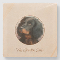 Vintage Gordon Setter