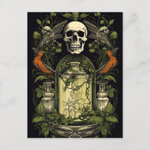 Vintage Goth Skeleton Skull Raven Poison Halloween Postcard