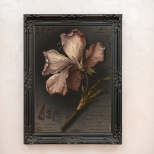 Vintage Gothic Botanical Flower Study Art Photo Print