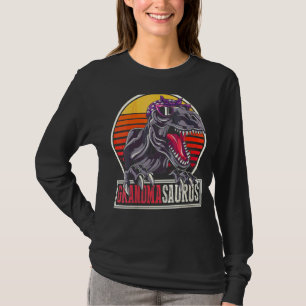 Vintage Grandma Idea Dinosaur Family Grandmasaurus T-Shirt