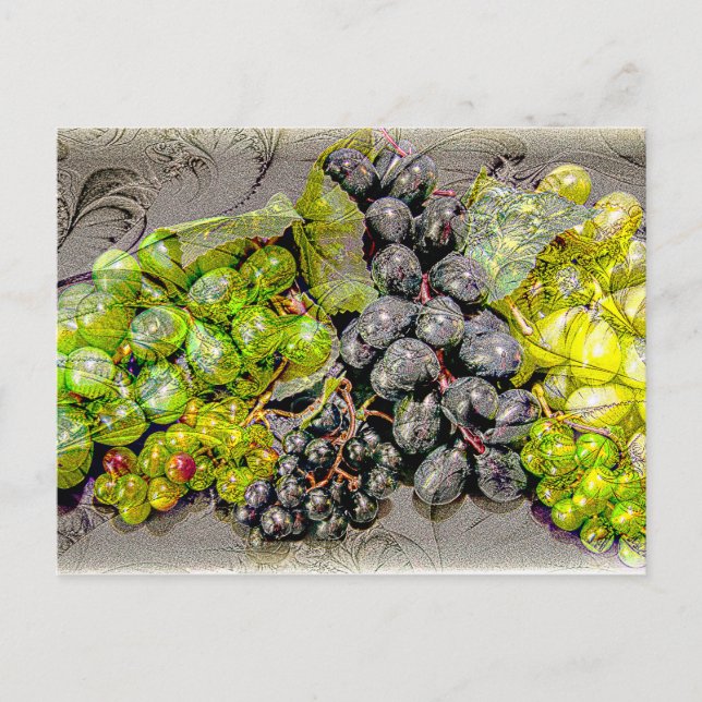 Vintage Grape Digital Art Postcard (Front)