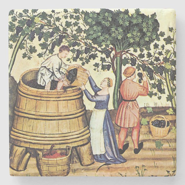 Vintage Grape Harvest Image Coaster (Front)