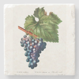 Vintage Grapes Coaster
