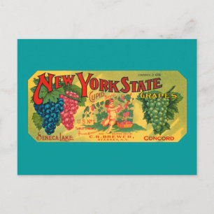 Vintage Grapes Crate Art Blank Postcard