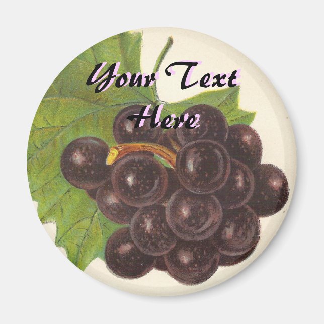 Vintage Grapes Magnet (Front)