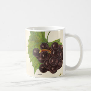 Vintage Grapes Mug