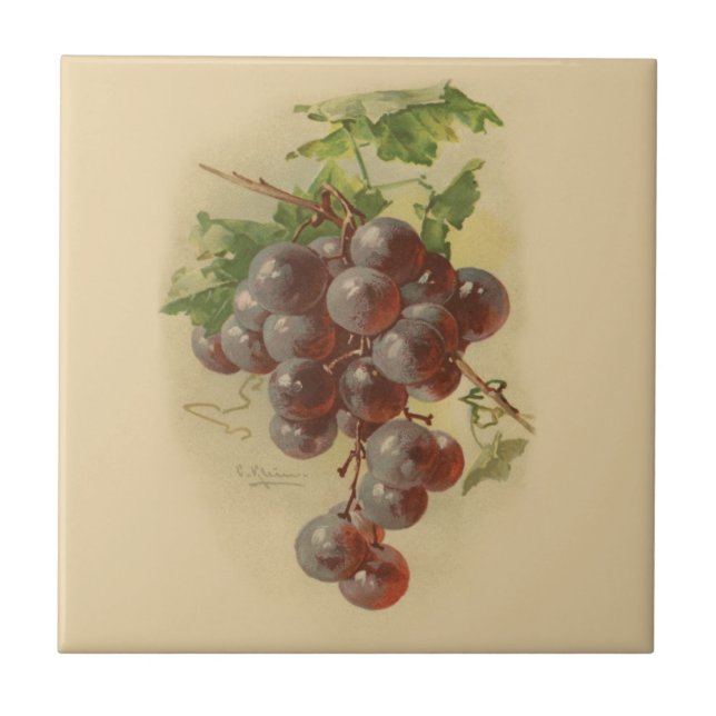 Vintage grapes tile (Front)