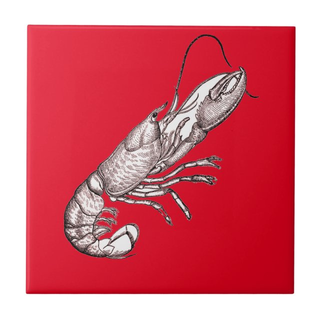 Vintage graphic lobster in red   tile (Front)