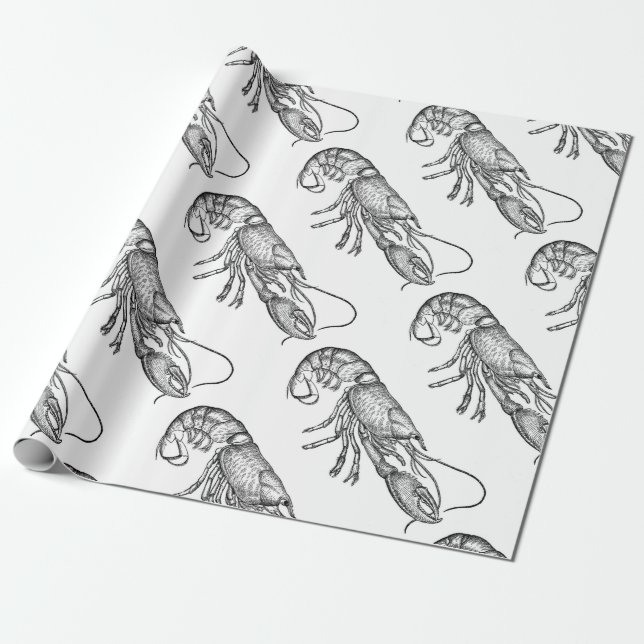 Vintage graphic lobster wrapping paper (Unrolled)