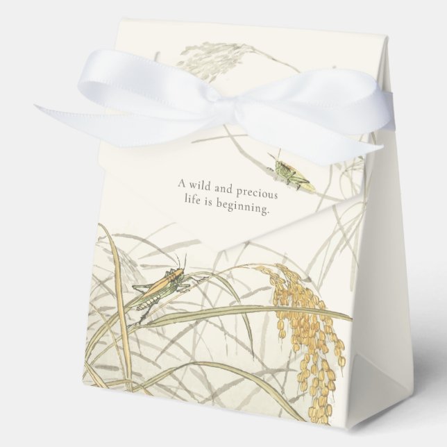 Vintage Grasshopper Baby Shower  Favour Box (Front)