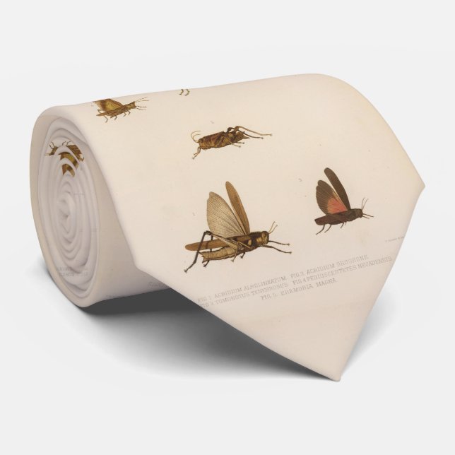 Vintage Grasshopper Diagram (1875) Tie (Rolled)