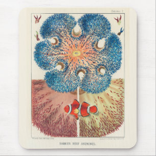 Vintage Great Barrier Reef Anemones Carol Fish Mouse Mat