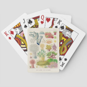 Vintage Great Barrier Reef of Australia Alcyonaria Playing Cards