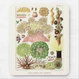 Vintage Great Barrier Reef of Australia Anemones Mouse Mat