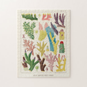 Vintage Great Barrier Reef of Australia Corals Jigsaw Puzzle