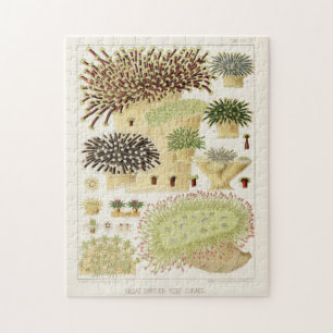 Vintage Great Barrier Reef of Australia Corals Jigsaw Puzzle