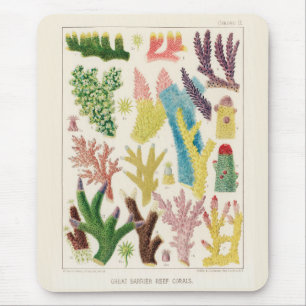 Vintage Great Barrier Reef of Australia Corals Mouse Mat