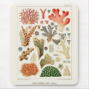 Vintage Great Barrier Reef of Australia Corals Mouse Mat