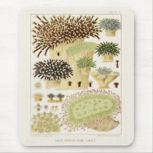 Vintage Great Barrier Reef of Australia Corals Mouse Mat