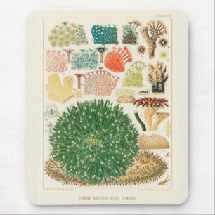 Vintage Great Barrier Reef of Australia Corals Mouse Mat