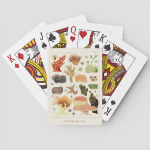 Vintage Great Barrier Reef of Australia Corals Playing Cards