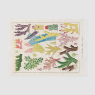 Vintage Great Barrier Reef of Australia Corals Tissue Paper