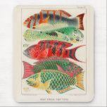 Vintage Great Barrier Reef of Australia Fishes Mouse Mat<br><div class="desc">Great Barrier Reef Fishes from The Great Barrier Reef of Australia (1893) by William Saville-Kent (1845-1908).</div>