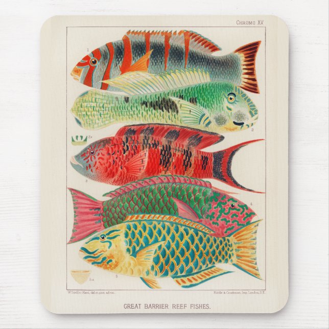 Vintage Great Barrier Reef of Australia Fishes Mouse Mat (Front)