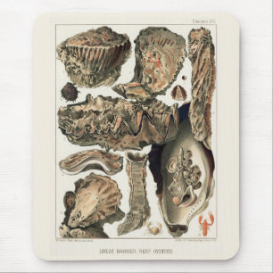 Vintage Great Barrier Reef of Australia Oysters Mouse Mat