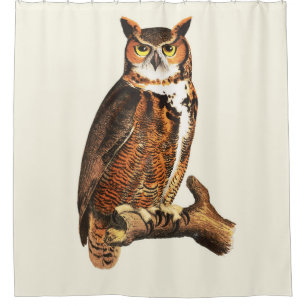 Vintage great horned owl drawing shower curtain