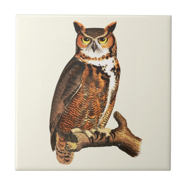 Vintage great horned owl drawing tile (Front)