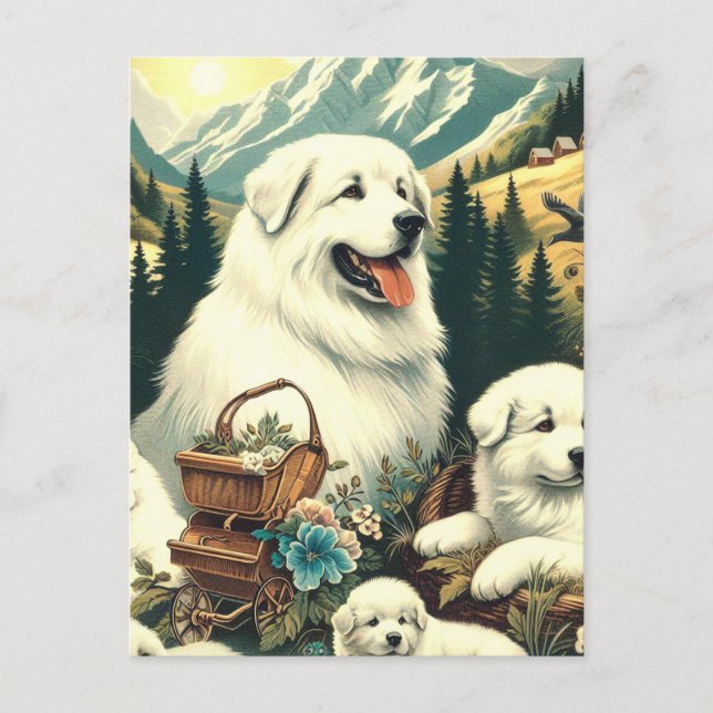 Vintage Great Pyrenees Dog Illustration Postcard (Front)