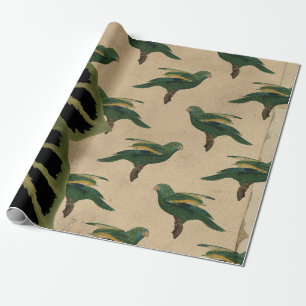 Vintage Green and Yellow Birds Wrapping Paper