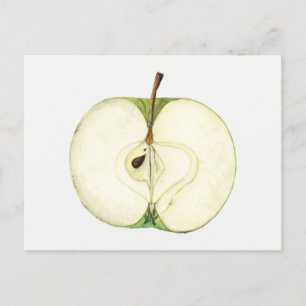 Vintage Green Apple Fruit Painting Postcard