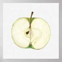 Vintage Green Apple Fruit Painting