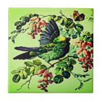 Vintage Green Bird Illustration by L. Prang & Co 