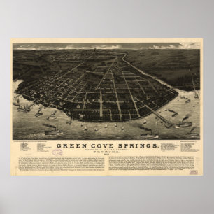 Vintage Green Cove Springs FL Pictorial Map (1885) Poster