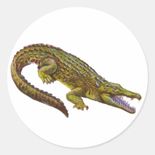 Vintage Green Crocodile Illustration Classic Round Sticker