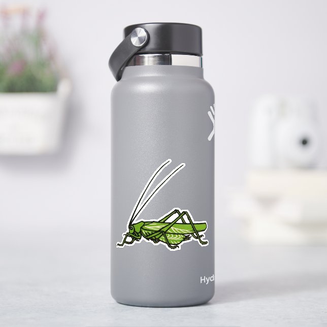 Vintage green grasshopper  (HydroFlask)