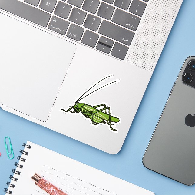 Vintage green grasshopper  (Laptop w/ iPhone)