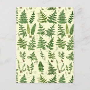 Vintage Green Leafy Plants Postcard