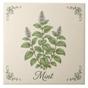 Vintage Green Mint Botanical Kitchen Herb Garden Tile