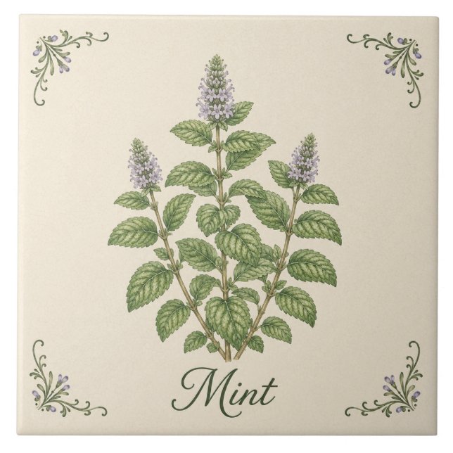 Vintage Green Mint Botanical Kitchen Herb Garden Tile (Front)