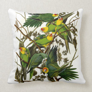 Vintage Green Parakeets Parrots Cushion