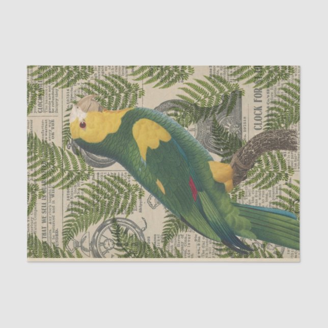 Vintage Green Parrot Tropical Tissue Paper (Front)
