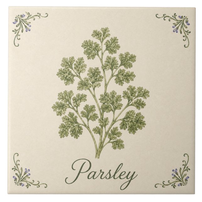 Vintage Green Parsley Botanical Kitchen Herb Tile (Front)