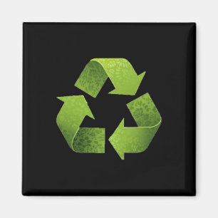 Vintage Green Recycle Symbol Novelty Earth Day Rec Magnet